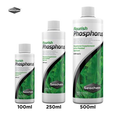 Seachem Flourish Phosphorus Supplement for the planted Aquarium