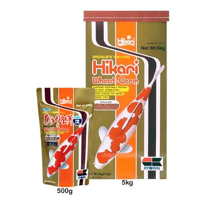 Hikari Sinking Wheat-Germ, daily diet for koi and other pond fish, including goldfish, Sinking Type, medium pellet (500g, 5Kg)