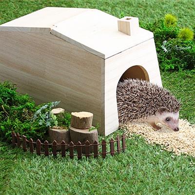 CASA Safe house except for hedgehogs