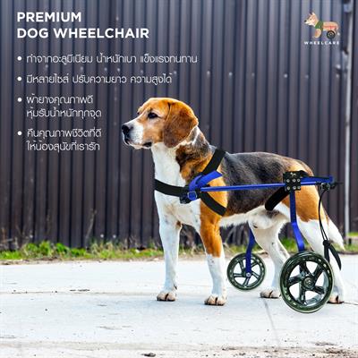 WHEELCARE - Premium Dog Wheelchair for disability pet, made from aluminium alloy, adjustable for all dog shape (ฺBLUE, WB-1)