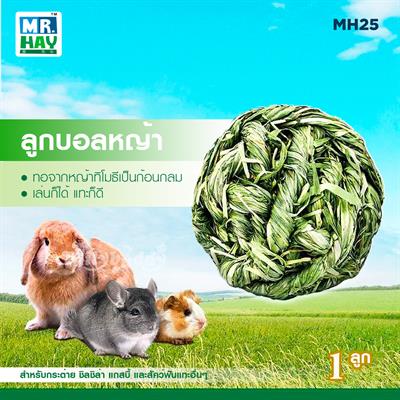 MR.HAY Green Garden Hay Ball, Timothy ball toy for small animal  (MH25)