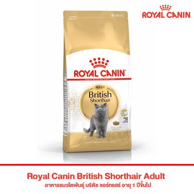 Royal Canin British Shorthair Adult Balanced and complete feed for cats - For adult British Shorthair cats - Over 12 months old.