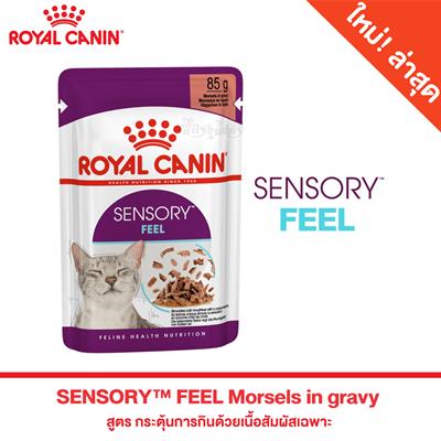 Royal Canin SENSORY FEEL Morsels in gravy - Complete feed for adult cats with a unique texture (85g)