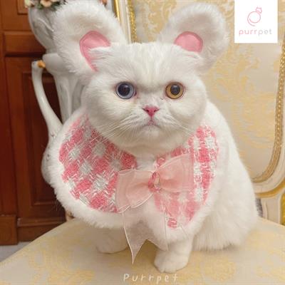 (Pre-order 2-3 day) purrpet Fluffy Bunny