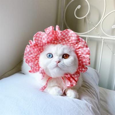 (Pre-order 2-3 day) purrpet Picnic Hat for pet