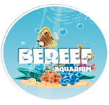 BEREEF AQUARIUM