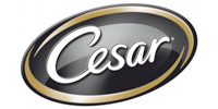 Cesar (ซีซาร์)