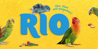 Rio (ริโอ)