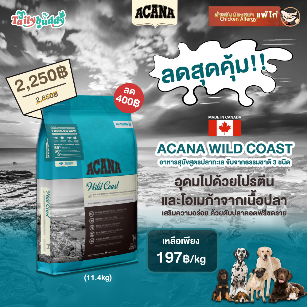 Biggest online pet supplies in Thailand.