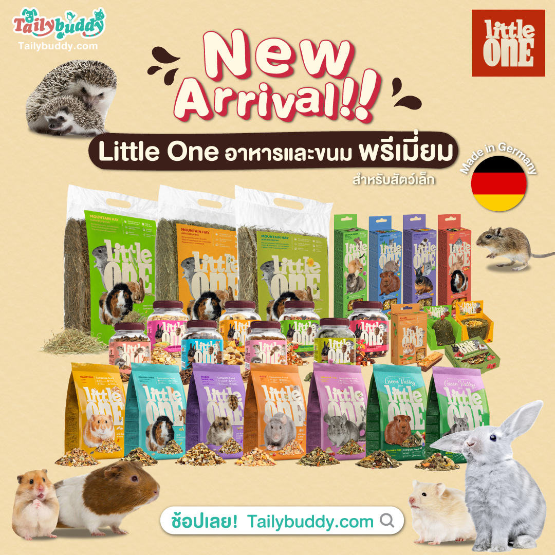 New Arrival Little one
