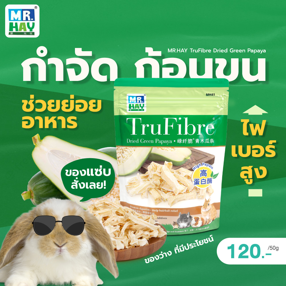 MR.HAY TruFibre Dried Green Papaya 