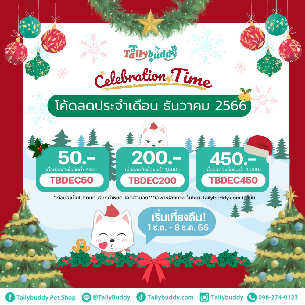 Code ประจำเดือน Decenber 2023