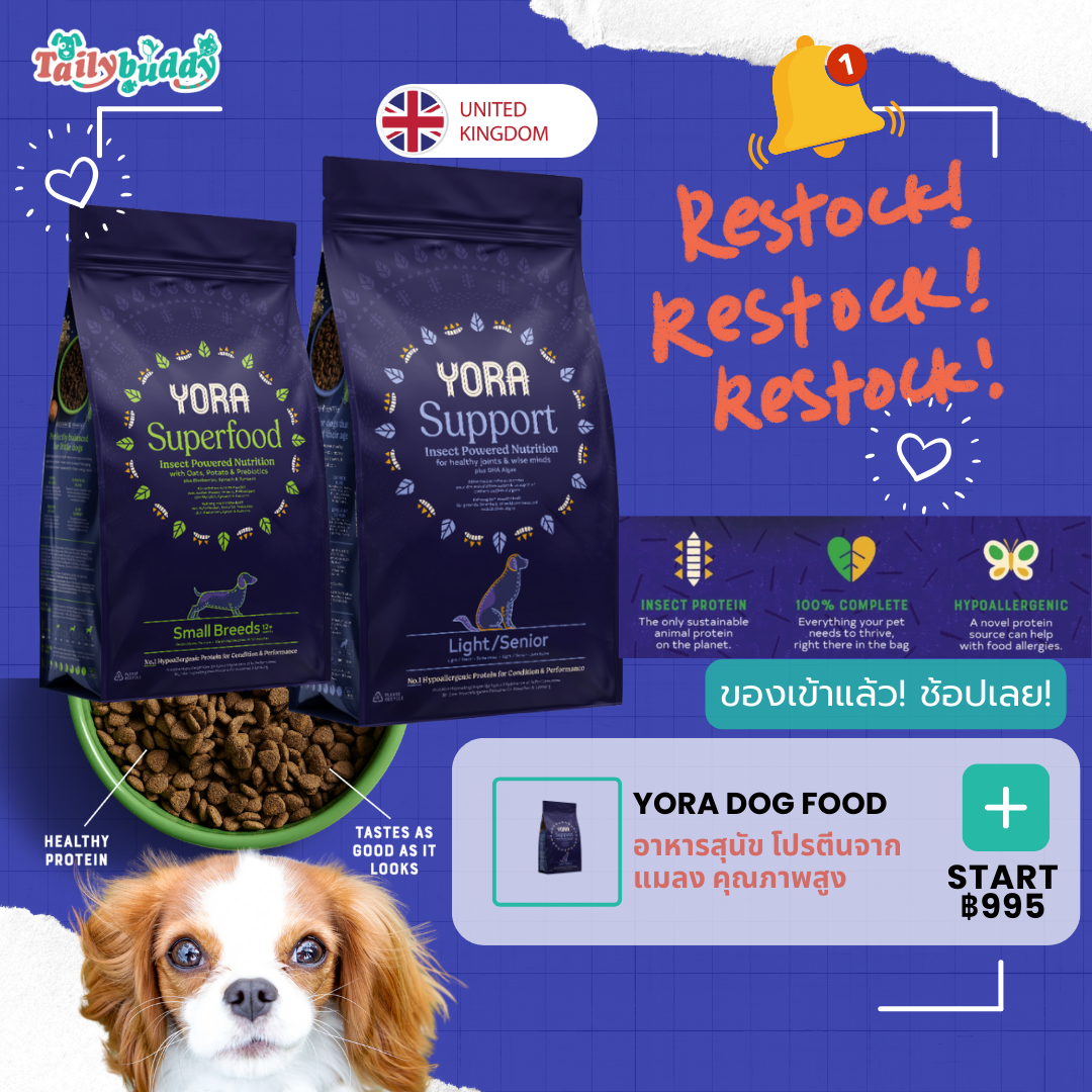 Yora dogfood