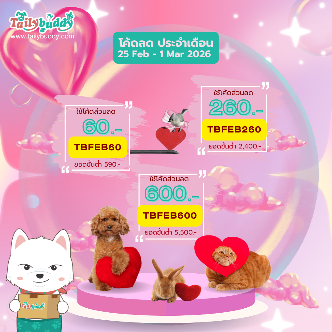 Code ประจำเดือน ก.พ