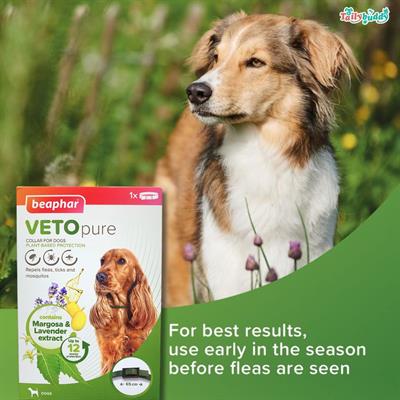 Beaphar Veto Pure Mosquito and insect repellent collar for dogs 65 cm. made from natural herbs