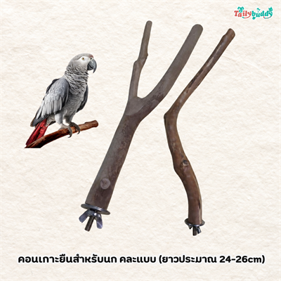 BirdBox คอนไม้ คอนเกาะยืน แบบยึดติดกรง สำหรับนก ทำจากไม้ธรรมชาติ