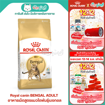 Royal Canin BENGAL ADULT  อาหารแมวโตพันธุ์เบงกอล (2kg)