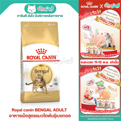 Royal Canin BENGAL ADULT  อาหารแมวโตพันธุ์เบงกอล (2kg)