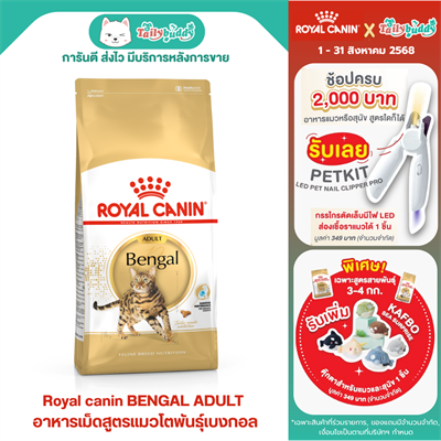 Royal Canin BENGAL ADULT  อาหารแมวโตพันธุ์เบงกอล (2kg)