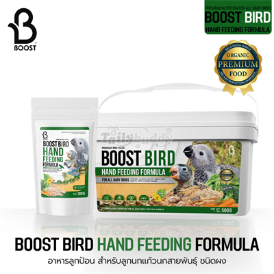 Boost Bird Hand Feeding Formula อาหารลูกป้อน สำหรับลูกนกแก้วนกสายพันธุ์ ชนิดผง (100g, 500g)