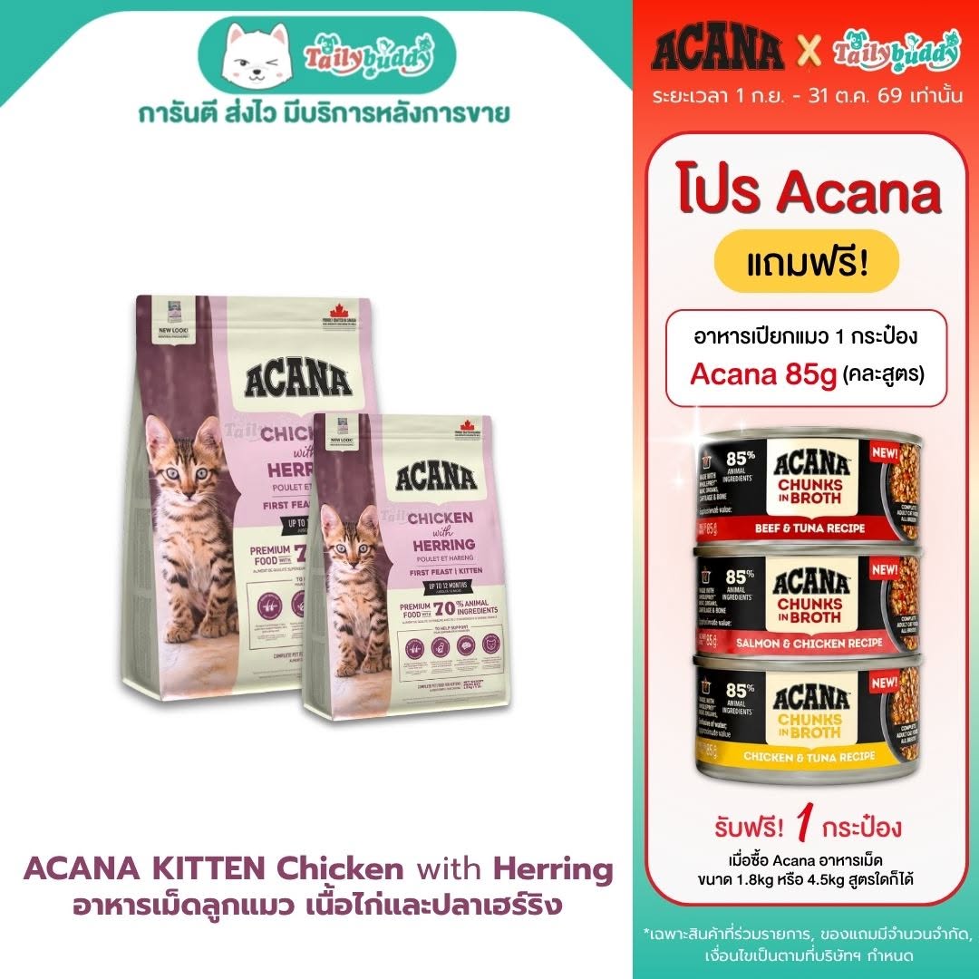 Acana first feast kitten อาหารเม็ดสำหรับลูกแมว สูตรเนื้อไก่และปลาเฮร์ริง เสริมสร้างกล้ามเนื้อ มี DHA และ EPA บำรุงสายตาและสมอง (340g , 1.8kg)