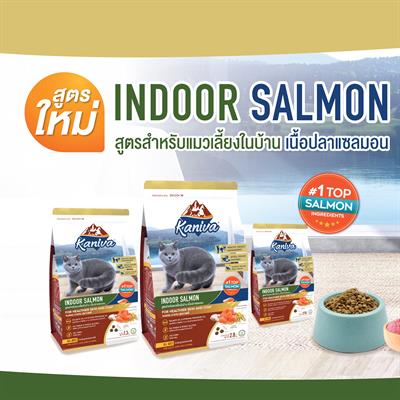 Kaniva Indoor Cat salmon อาหารแมวคานิว่า สูตรแมวเลี้ยงในบ้าน สูตรเนื้อปลาแซลมอน (1.3kg, 2.8kg)