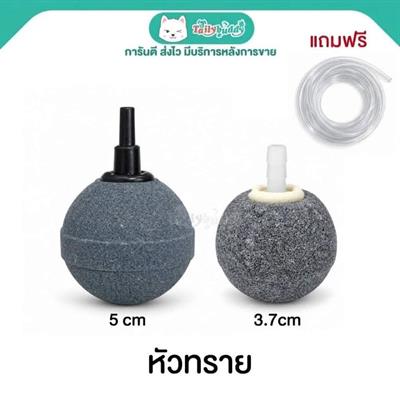 หัวทราย 2หัว  แถมสายยาง 2เมตร
