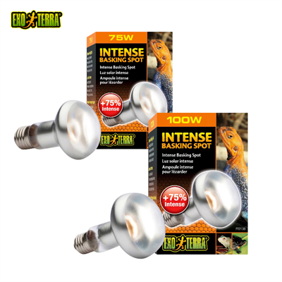 EXO TERRA Intense Basking Spot  (75W, 100W)