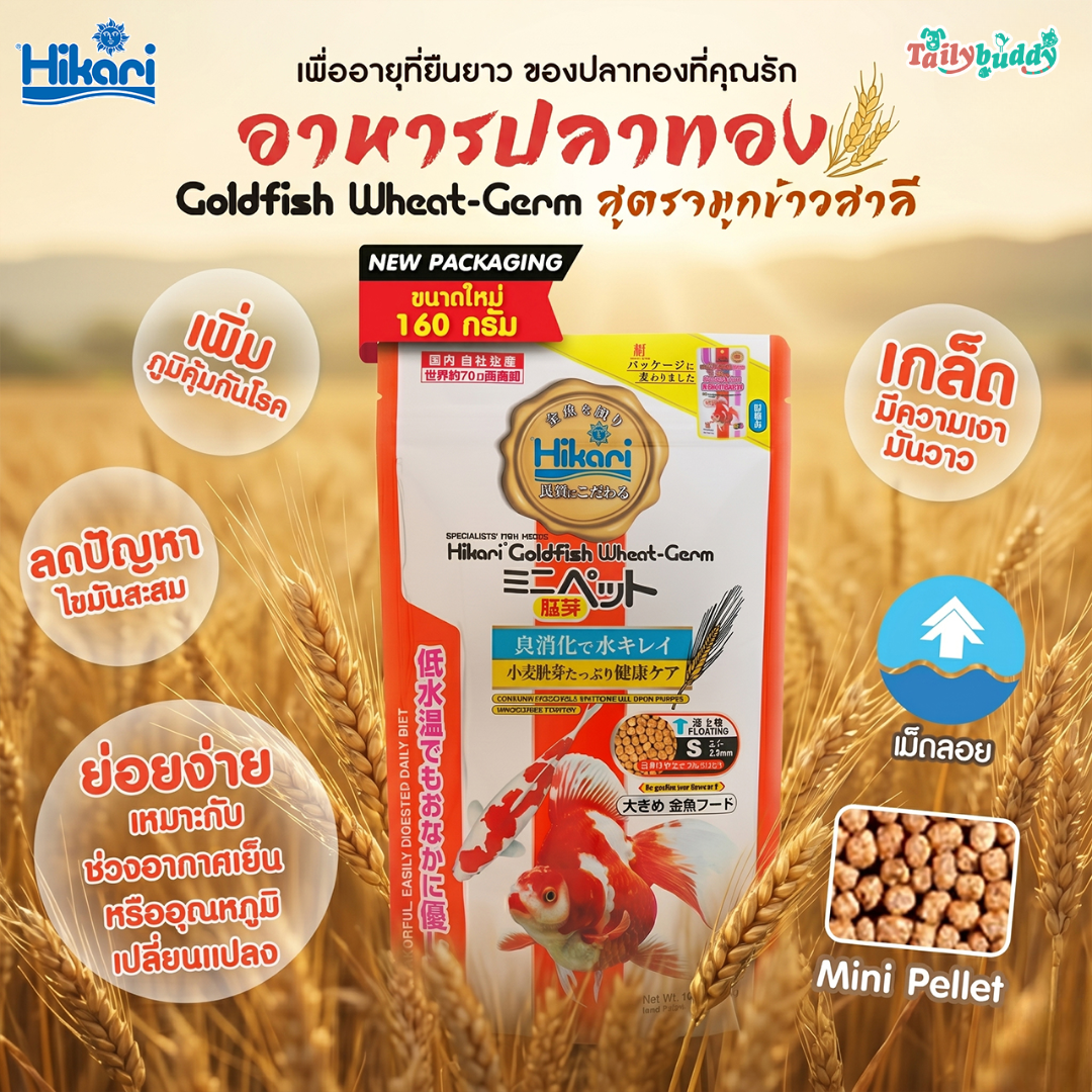 Hikari Wheat Germ อาหารปลาทอง และ ลูกปลาคาร์ฟ สูตรผสมจมูกข้าวสาลี ช่วยให้สีขาวบนตัวปลาเงามันวาว (160g)