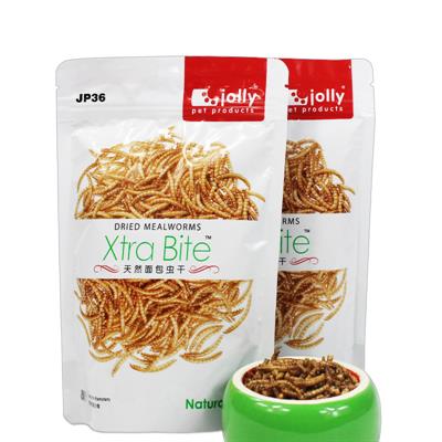 Jolly Xtra Bite Dried Mealworms หนอนนกอบแห้ง (30g JP252) / (60g JP36)