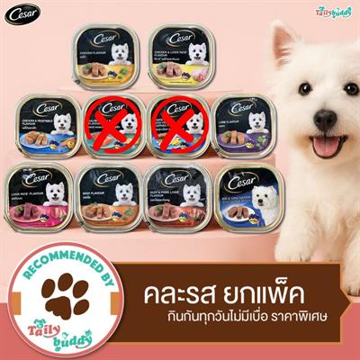 Cesar wet dog food, mixed 10 flavors (10 trays)