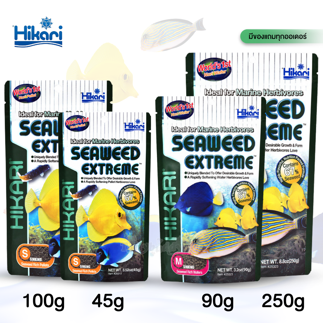 Hikari Marine SEAWEED EXTREME อาหารปลาทะเล ปลากินพืช กินสาหร่าย ปลาแทงค์ การ์ตูน เดมเซล ผีเสื้อ