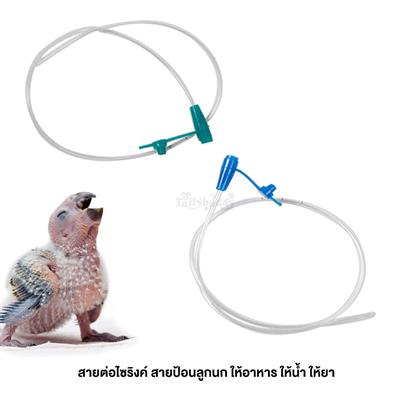 Disposable feeding tube