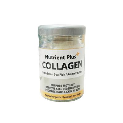 Nutrient Plus Collagen for dogs/cats from deep sea fish promote skin and hair (8,000mg., 20g.)