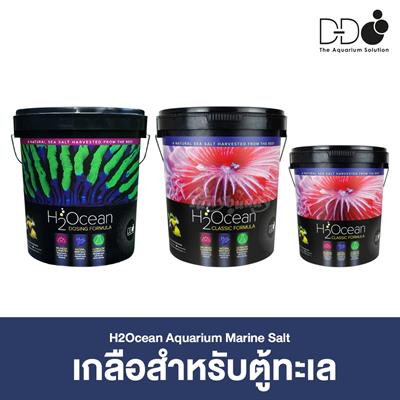 H2Ocean Aquarium Marine Salt เกลือสำหรับตู้ทะเล (6.6kg, 22kg)