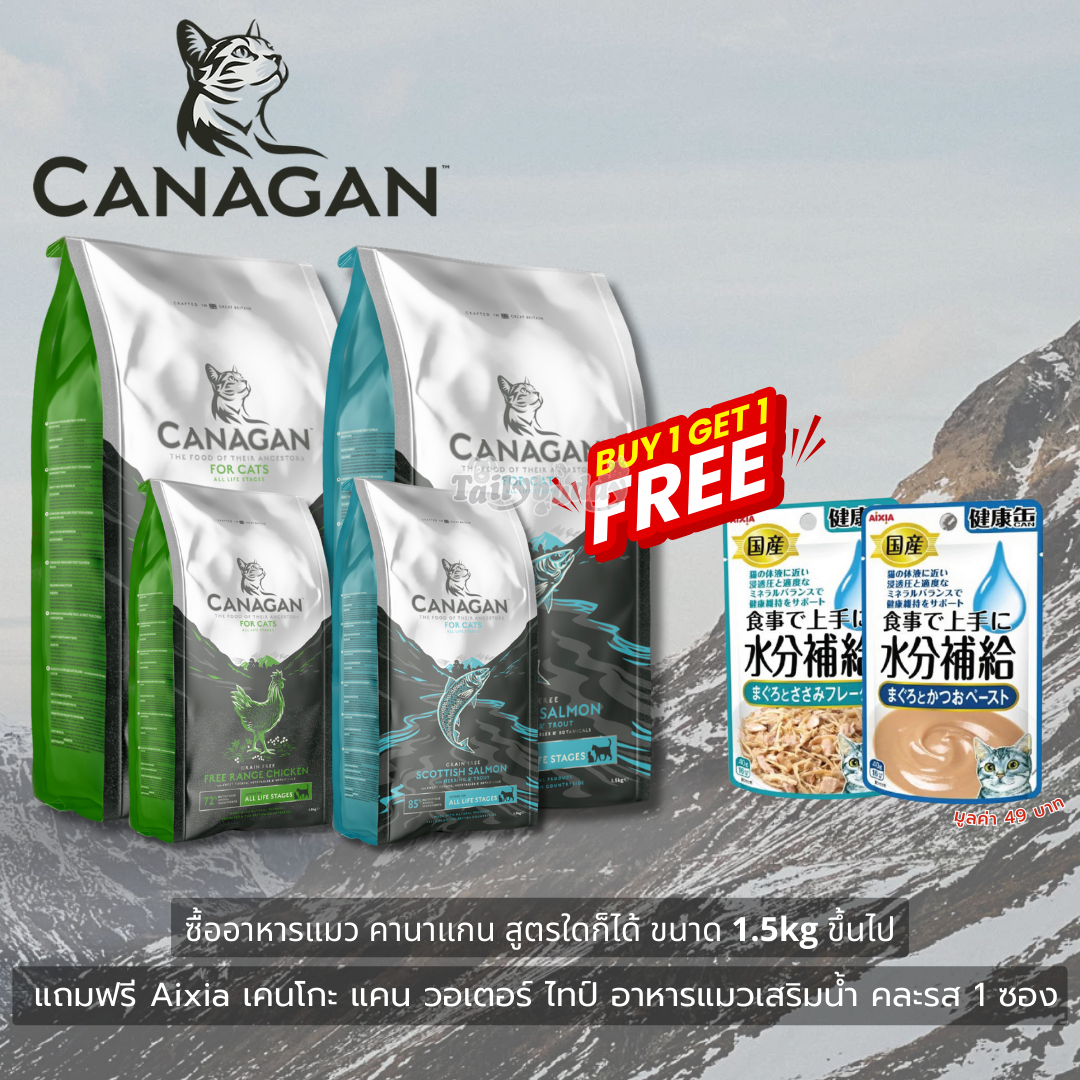 (Lot ใหม่ล่าสุด 2026) Canagan Scottish Salmon for Cats คานาแกน สคอททิช แซลมอน อาหารลูกแมว และแมวโต บำรุงขน ลดการเป็นนิ่ว ลดความเครียด (375g, 1.5kg, 4kg, 8kg)