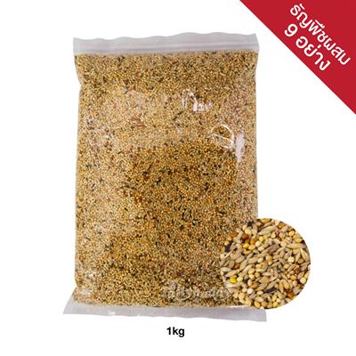 66 Purruches mix / Thailand Budgie  premium 1 kg.