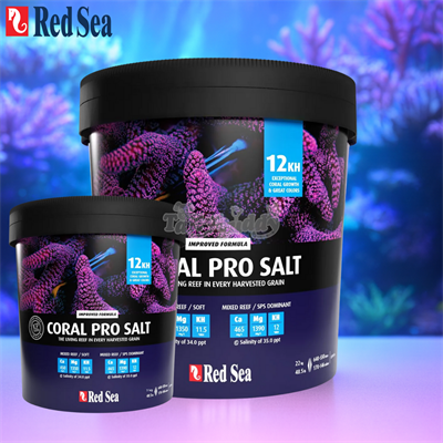 RED SEA SALT CORAL PRO SALT เกลือทะเล สำหรับตู้ทะเล ที่เลี้ยงปะการัง ก้นตู้ทั้ง LPS, SPS (7kg, 22kg)