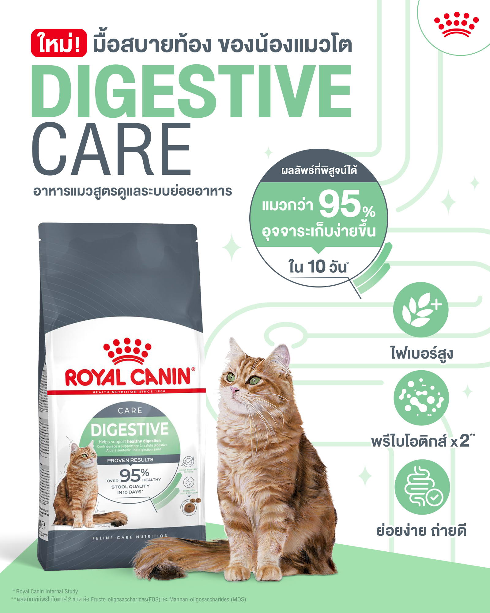 Royal Canin Digestive Care (Sensible 33) อาหารแมวโต 1 ปี ขึ้นไป ดูแลระบบย่อยอาหารโดยเฉพาะ (400g, 2kg, 4kg)