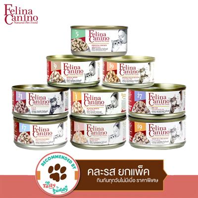 Felina canino wet food for cats, Real Meat, Premium Cut, Mixed 9 cans (70g x 9)