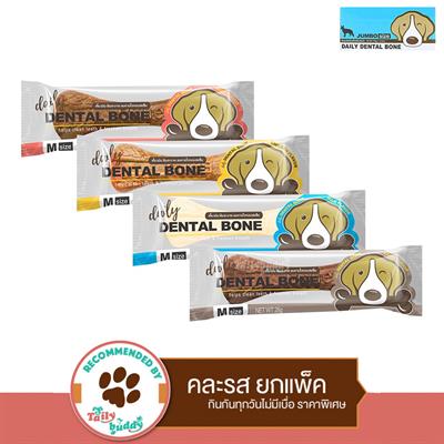 Daily Dental Bone jumbo size, mix flavors 4 pieces (175gx4)