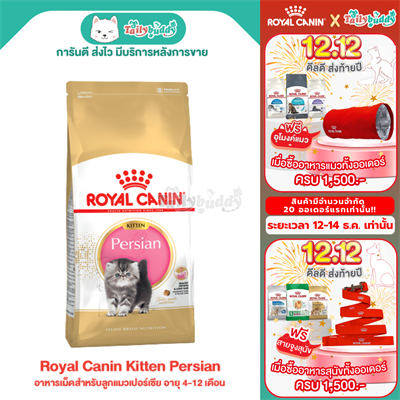 Royal Canin Kitten Persian อาหารเม็ดสำหรับลูกแมวเปอร์เซีย อายุ 4-12 เดือน (400g, 2kg, 4kg, 10kg)