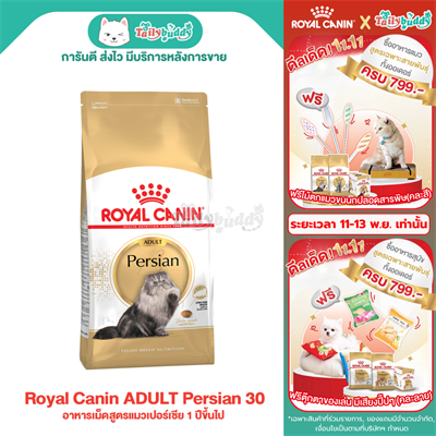 Royal Canin ADULT Persian 30 อาหารเม็ดสูตรแมวเปอร์เซีย 1 ปีขึ้นไป (400g , 2 kg , 4 kg , 10 kg)