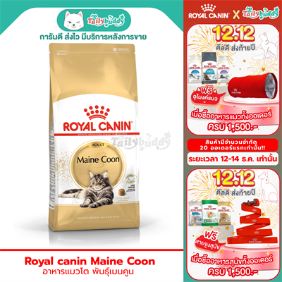 Royal Canin Maine Coon