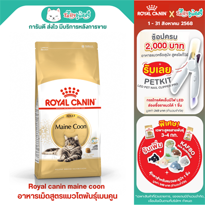 Royal canin maine coon อาหารแมวโต พันธุ์เมนคูน