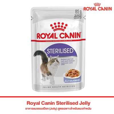 Royal Canin Sterilised Jelly, Cat wet food (85g)