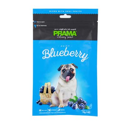 PRAMA Delicacy Snack Blueberry mixed with real fruits, Skin&Coat+Antioxidant+Digestion (70g)