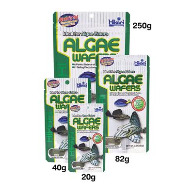 Hikari Algae Wafers for Plecostomus, Algae Eaters fishes, Bottom-Feeding, marine herbivores (Sinking)