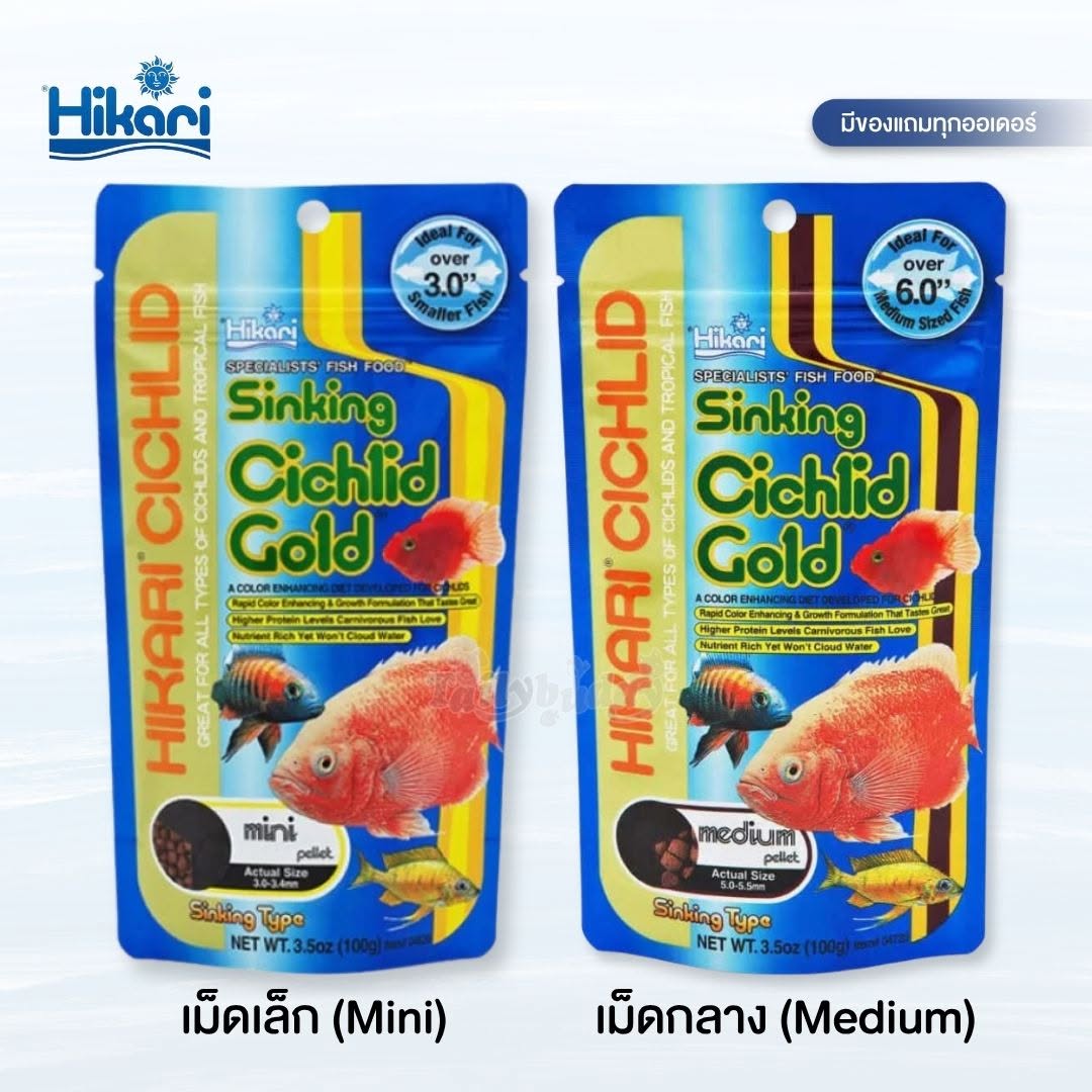 Hikari Cichlid Gold Sinking ฮิคาริอาหารปลาหมอสี สูตรผสมแคโรทีนเร่งสี เร่งโต ชนิดจมน้ำ เม็ดเล็ก, เม็ดกลาง (100 กรัม)