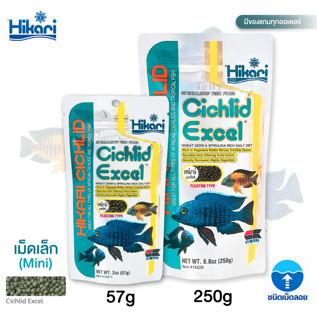Hikari Cichlid Excel Floating อาหารปลาหมอสีมาลาวี เแบบลอยน้ำ เม็ดเล็ก(Mini) มี Spirulina และ Wheat Germ ช่วยเร่งสีและย่อยง่าย (57g, 250g)